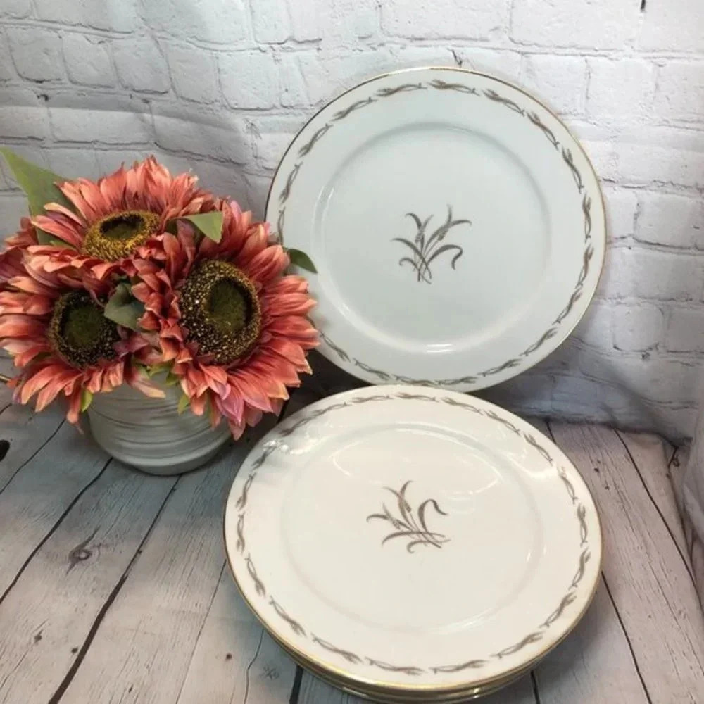 Mikasa fine china vintage ANNA Plates